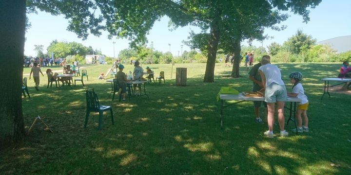 Jeux en bois et jeux de société