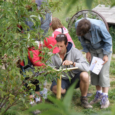 animations famille en livradois forez avec l'association Gaspard