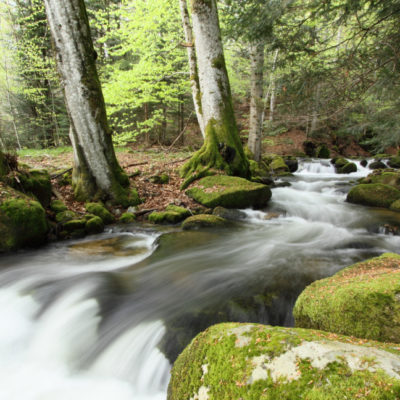 rivière du livradois forez par Fabien Geiler
