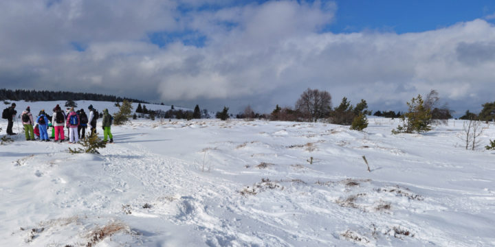 Hautes-chaumes du Forez : milieu d’estive, landes subalpines (1j)