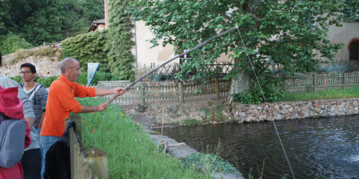 L’eau et la plante