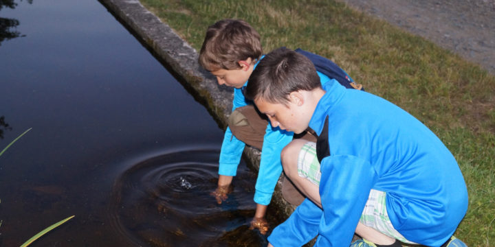 L’eau, la terre et les plantes