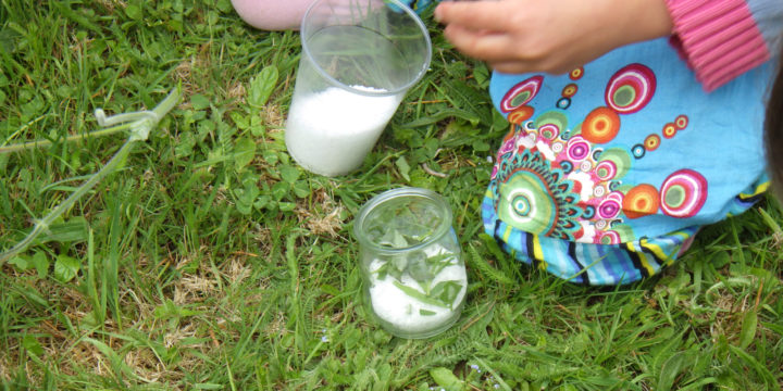 Botaniste en herbe