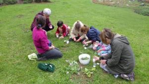 animation Le botaniste en herbe enfants au Jardin pour la Terre, Arlanc, Puy de dôme