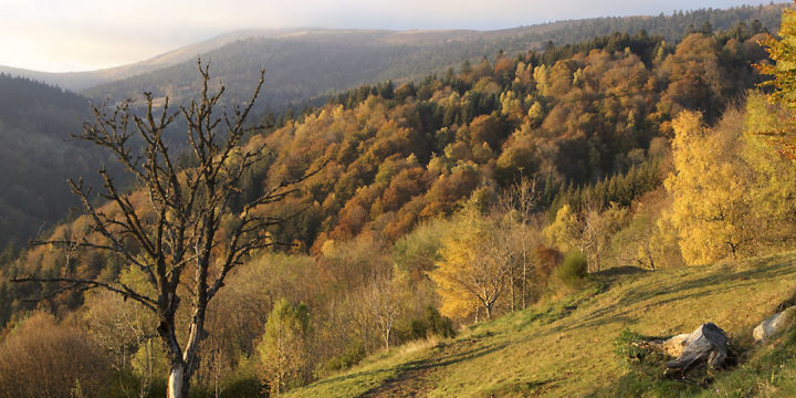 Séjour : Retrouver la nature en famille