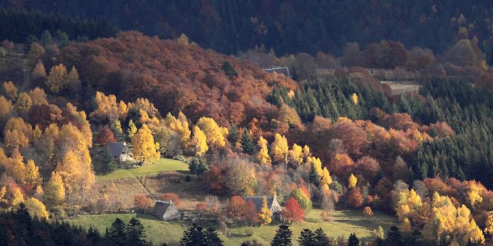 Les traces du temps dans le paysage