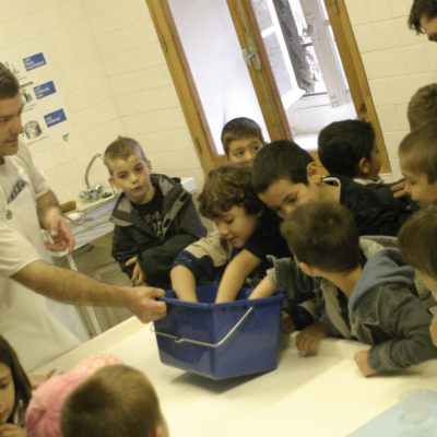 brassage du caille à la maison de la fourme d'ambert