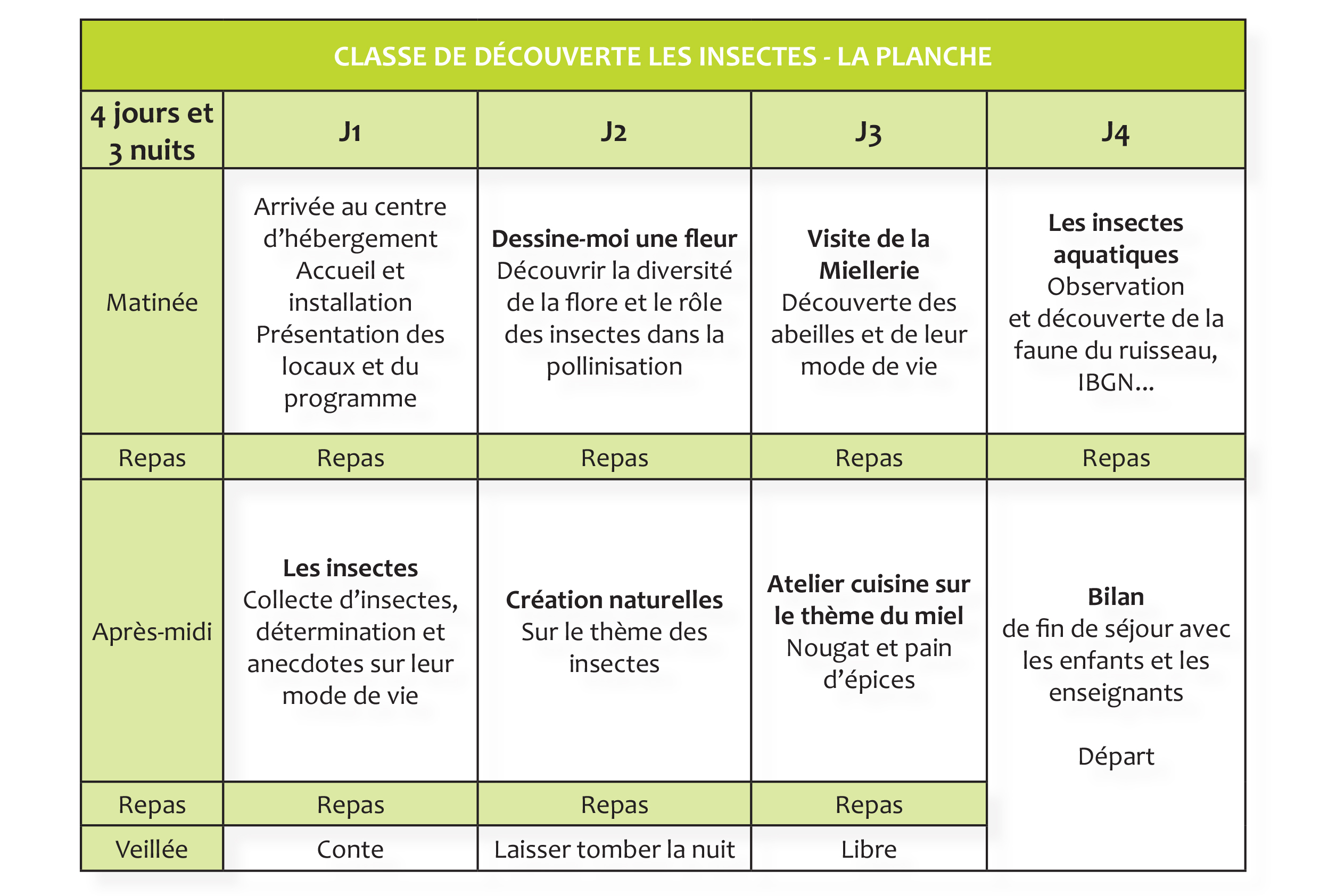 classe de découverte insectes pour cycle 3
